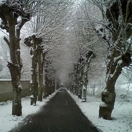 Le Relais De Dalibray Bed & Breakfast Seraincourt